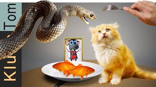 Kluna Tik eating SNAKE save Tom cat  ASMR MUKBANG no sound talk [upl. by Eel]