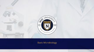 Basic Microbiology [upl. by Dlaniger240]