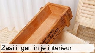 Hoe zaailingen mooi te schikken in huis  alle varianten van interieurgebruik [upl. by Alcina550]