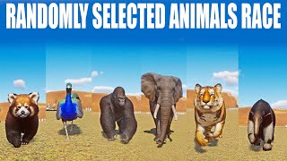 Randomly Selected Animals Speed Race in Planet Zoo included Tiger Gorilla Anteater Panda [upl. by Nalyk]