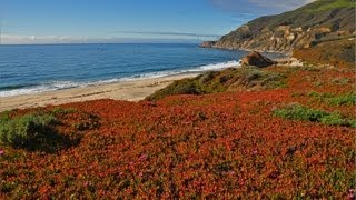 quotThe California Coastquot w Music 1 HR HEALING Nature Relaxation Video w Music 1080p [upl. by Tezil678]