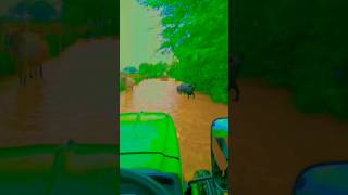 Offloading offroading jhondeertractor powerful tractor waterfall desi [upl. by Anthony]