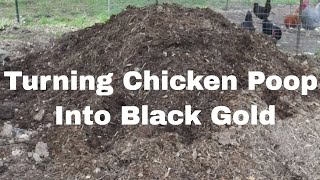 Composting Backyard Poultry Manure [upl. by Claudine]