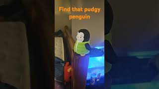 Find that pudgy penguin [upl. by Iniffit]