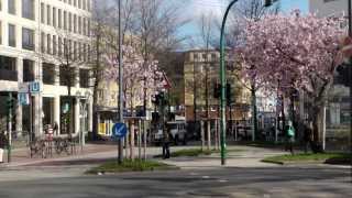 Essen Rüttenscheid Kirschblüte auf der Rü 2013 [upl. by Cheadle]