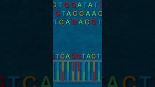 CRISPR Explained [upl. by Ankney]