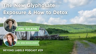 The NEW Glyphosate Exposure amp How to Detox Episode 29 [upl. by Hadleigh46]