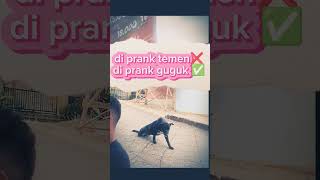 dprank lucu reels lucu videoshort ngakak prank [upl. by Enyehc697]