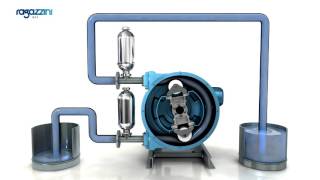 Rotho Peristaltic pump performances [upl. by Darum495]