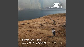 Star of the County Down Matt Robertson Ambient Mix [upl. by Libbna401]