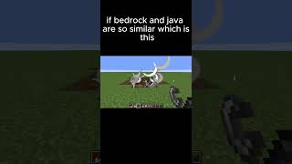 java vs Bedrock 25 [upl. by Reivad]