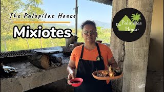 Mixiotes The Palapitas House 30 fps [upl. by Naihtsirc]