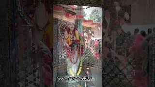 Gairar Golu Dham travel uttarakhand almora uttarakhandsanskriti [upl. by Setsero288]