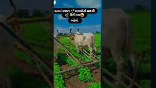 ખેડુત પુત્ર 🌱🌱shortvideo sotsfeed [upl. by Illom]