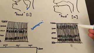 Formant Frequencies MiniLesson [upl. by Anyal]