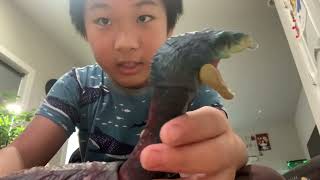 Hammond collection therizinosaurus review [upl. by Aleinad]