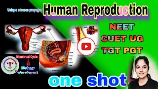 HUMAN REPRODUCTION CLASS 12 ONE SHOT  NEET 2024CUET TGTPGT ALL CONCEPTS amp THEORY JagritMaam [upl. by Wilcox]