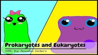 OLD VIDEO Prokaryotes and Eukaryotes [upl. by Asselem]