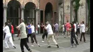 Taijiquan Ecole Eric Caulier forme yang des 40 postures [upl. by Mallissa415]