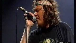 Zucchero  OLSMM Live 1995 [upl. by Akirdnahs546]