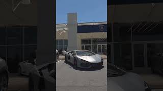 The Aventador Successor 😮‍💨 fypシ fyp lamborghini lamborghiniv12 lamborghinirevuelto viral [upl. by Debo724]