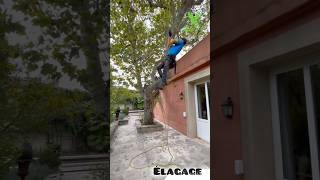 Elagage de platanes teammainverte [upl. by Nivloc]