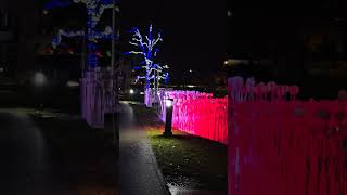 Winter Festival of Lights at Niagara Falls Adventure travel winterfestivaloflights niagarafalls [upl. by Wallinga634]