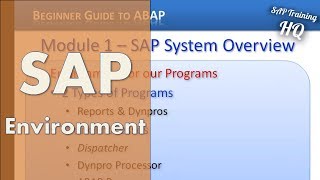 SAP ABAP Training  SAP Environment For Our ABAP Programs [upl. by Nye934]