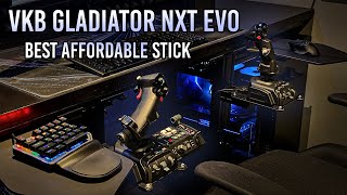 The BEST Affordable HOTAS Dual Joystick  VKB Gladiator NXT EVO [upl. by Rania197]