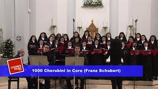 Coro delle Suore Sacramentine  1000 Cherubini in coro  Video Clip [upl. by Leandro]