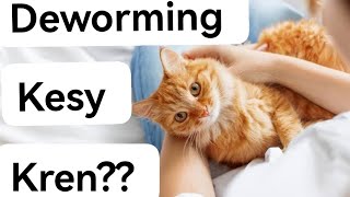 Deworming of persian cats  cats k pait me keeray khatam kesy kren  Urdu  Hindi [upl. by Tulley]