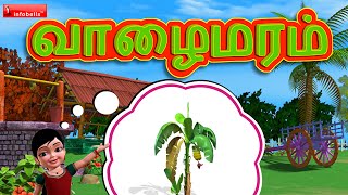 வாழைமரம் வாழைமரம் Tamil Rhymes for Children [upl. by Mena]