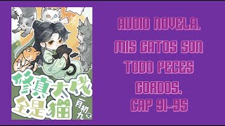 audio Novela mis gatos son todos peces gordos 9195 [upl. by Maxima]