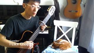 I Like Chopin  Gazebo  FingerStyle Guitar  20240703 [upl. by Leibman]