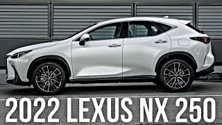 2022 Lexus NX 250  New Features [upl. by Ayam]