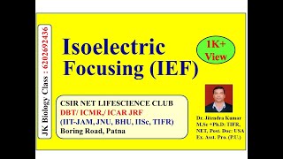 Isoelectric Focusing IEF  Isoelectric point pI  CSIR NET LIFESCIENCE  MSC amp BSC Entrance [upl. by Alohcin]