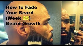 How to grow a Full and Thicker Beard week 25 Beard Fade Tutorial [upl. by Amadeus]