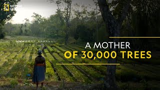 A Mother of 30000 Trees  Thulasi Gowda  OneForChange [upl. by Aeneus]