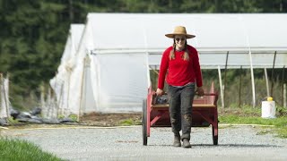 Fire amp Flood Facing Two Extremes Replanting helps preserve streambanks [upl. by Ardnasirhc]