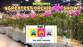 Part 2 of THE GREATEST ORCHID SHOW IN THE US We continue at this amazing orchid event in Miami [upl. by Osanna]