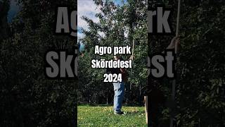 Skördefest och Äpplets dag på Öjebyn Agro Park 2024 shorts swedishevents öjebyn äppletsdag [upl. by Morna55]