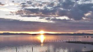 Mono Lake Life [upl. by Trotter]