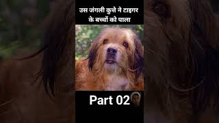 Kutta tiger 🐅 k bache palta h part 2 dekhe shorts tiger dog [upl. by Weiman]