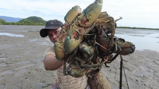 Today I Found Huge Mud Crabs at Mud Beach after Water Low Tide [upl. by Dan]