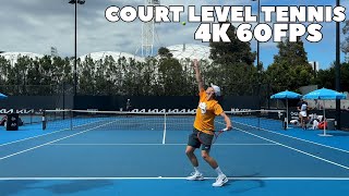 Denis Shapovalov Court Level Practice 2024  Groundstrokes amp Serves 4K 60FPS [upl. by Je566]