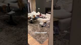 David Ella CAUGHT Cuddling with Ilya I Vlog Squad Moments 491 [upl. by Radcliffe]