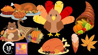 Thanksgiving Baby Sensory  High Contrast Video babylearning [upl. by Carlene]