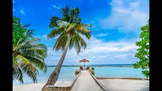 Snorkeling at housereef of Ellaidhoo by Cinnamon resort Maldives [upl. by Chadd]