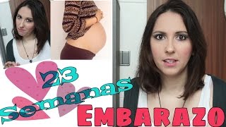 23 semanas de embarazo peso y barriga [upl. by Eatnuahs]