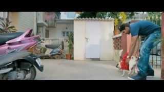 Raja Rani  2013  BD Rip  720p [upl. by Khalil]